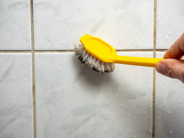 Best Same-Day Mold Removal  in Simi Valley, CA
