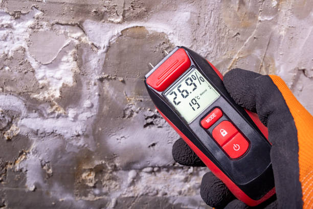Best Best Mold Removal Companies  in Simi Valley, CA