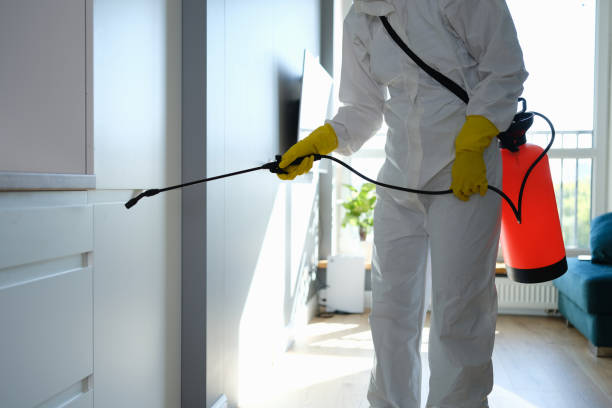 Best Mold Testing  in Simi Valley, CA