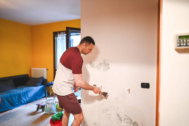 Best Affordable Mold Removal  in Simi Valley, CA
